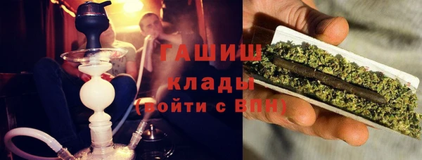 мдпв Бородино