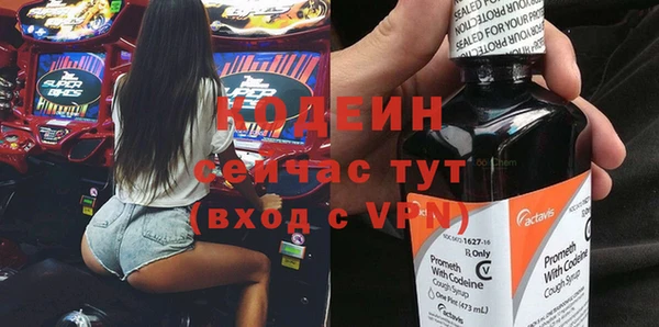 мдпв Бородино