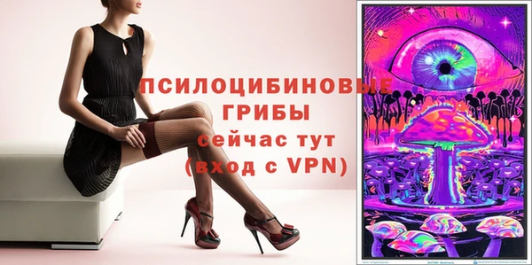 МДПВ Бронницы