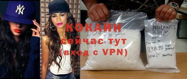 мдпв Бородино