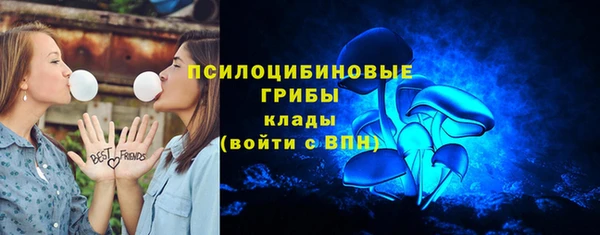мдпв Бородино