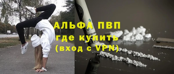 мдпв Бородино